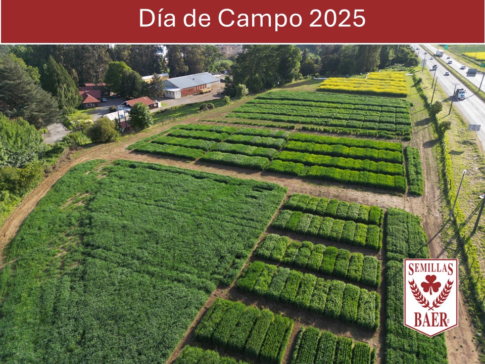 Presentacion dia de campo 2025